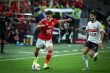 صورة تجمع شعاري الأهلي والزمالك مع كأس الدوري المصري